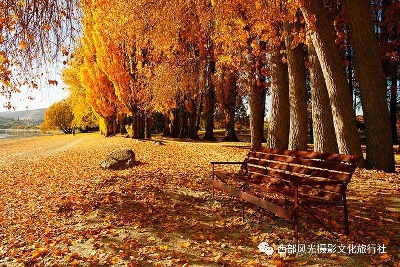 八旬老人寒冬迷路街头，城管暖心护送老人回家