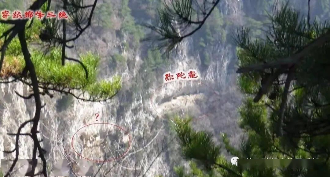 68岁周润发参加半马2小时26分完赛!他说如果跑进2小时就挑战全马,要跑到90岁