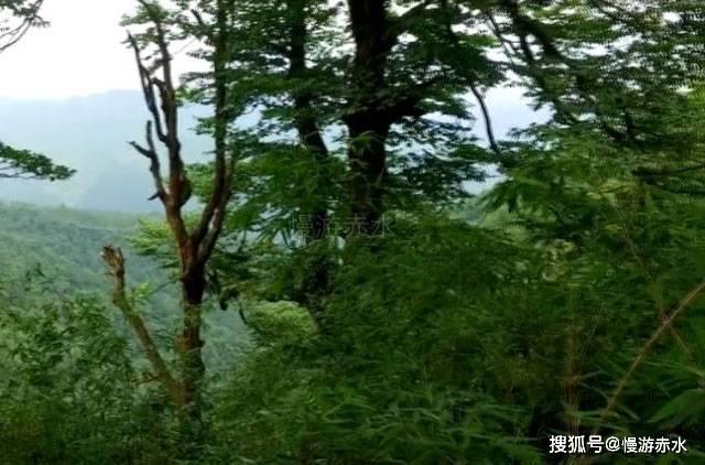 参加边境作战 高喊”向我开炮”的将军履新职