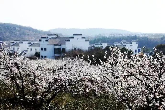“全球人权治理与中国经验”边会在日内瓦举行