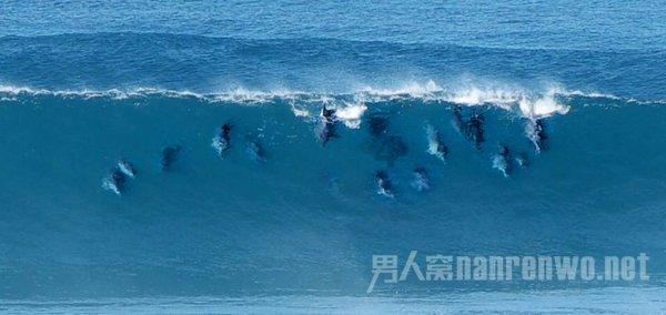 趣味高尔夫球无敌版
