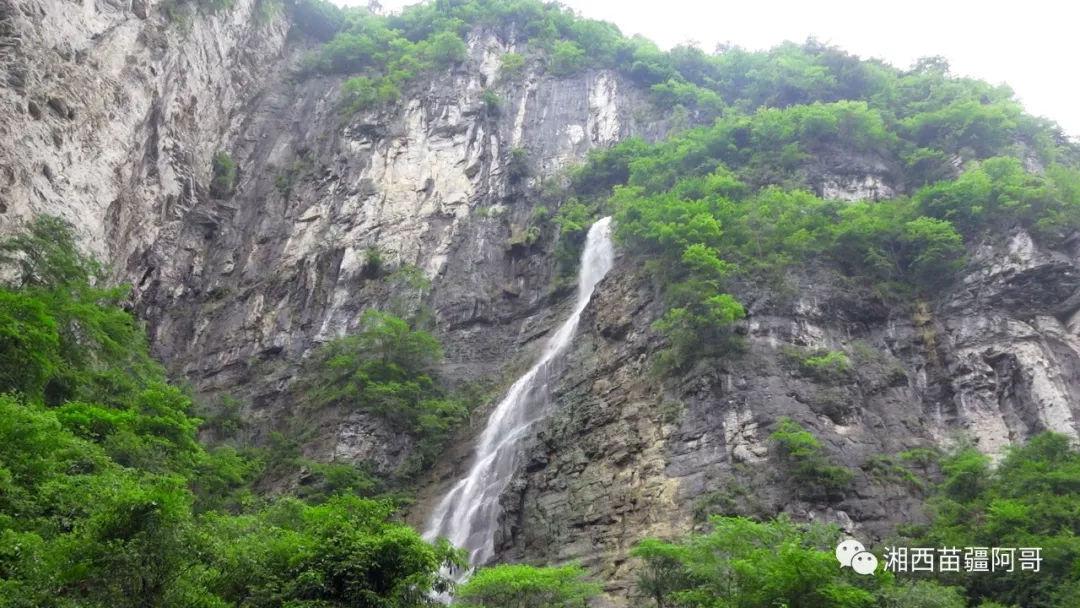 泡泡袖夏装